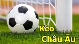 Kèo Châu Âu là gì? Kinh nghiệm cần biết khi chơi kèo Châu Âu