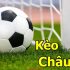 Hướng dẫn cách chơi bài tấn cực dễ hiểu cho người mới