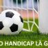 Cách chơi bài tứ sắc phổ biến nhất dành cho người mới